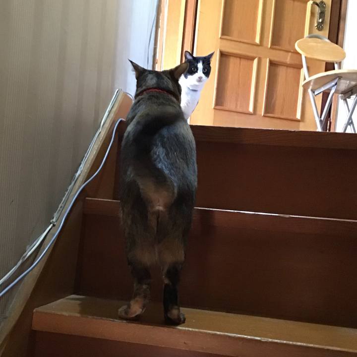 64bd87a2 c547 4793 a90f 999e90b5ac4f 1673346744361