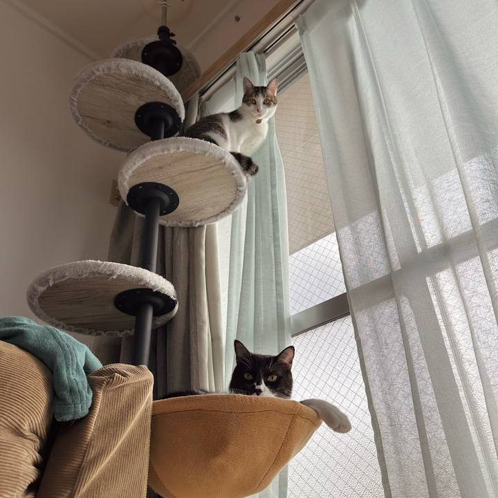 64bdb675 46df 4c1c 8f82 1a2767be0ab4 1765082451328