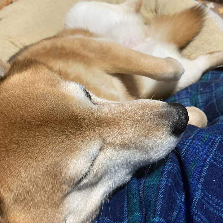 64bdb973 e180 497e 9bc5 76c2a4347177 1643952008624