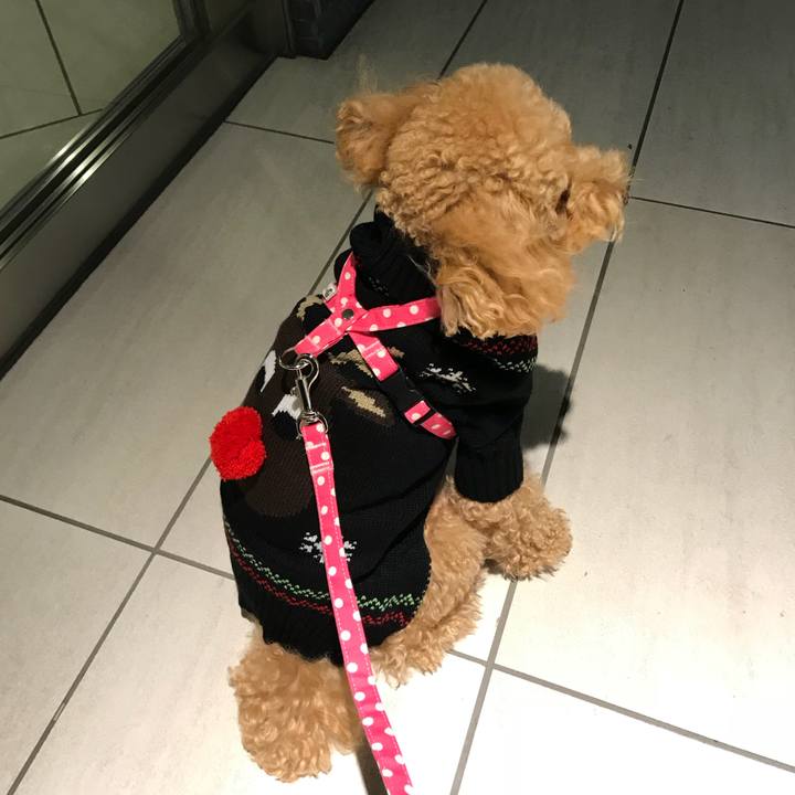 64bdef48 b044 42e1 bfc8 9f369b3be875 1511514119025