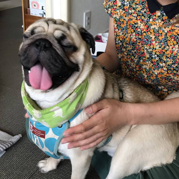 64bdf293 bc32 4345 98c3 58241b902cb8 1565592960862