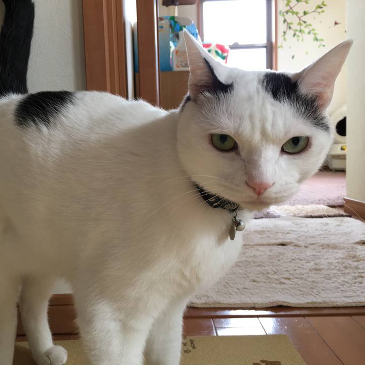 64be2646 29f5 44fa 85d4 f54659a32f91 1512700327532