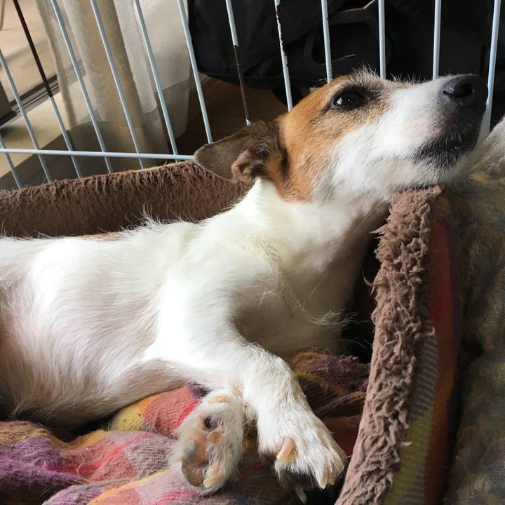 64be2fbd 5675 4883 8e39 4612ac2f07aa 1565217424895