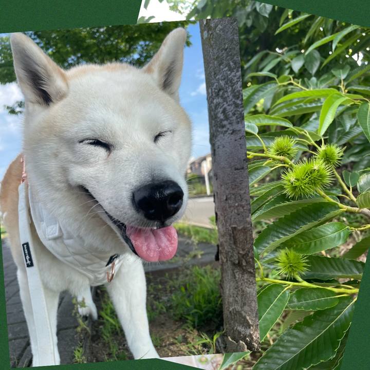 64bea1a0 bce8 4890 a86c 71d1c4ff747e 1656033901408