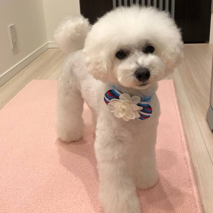 64beb9cc 2fcf 4107 9442 ec9bec084fe4 1574759261007