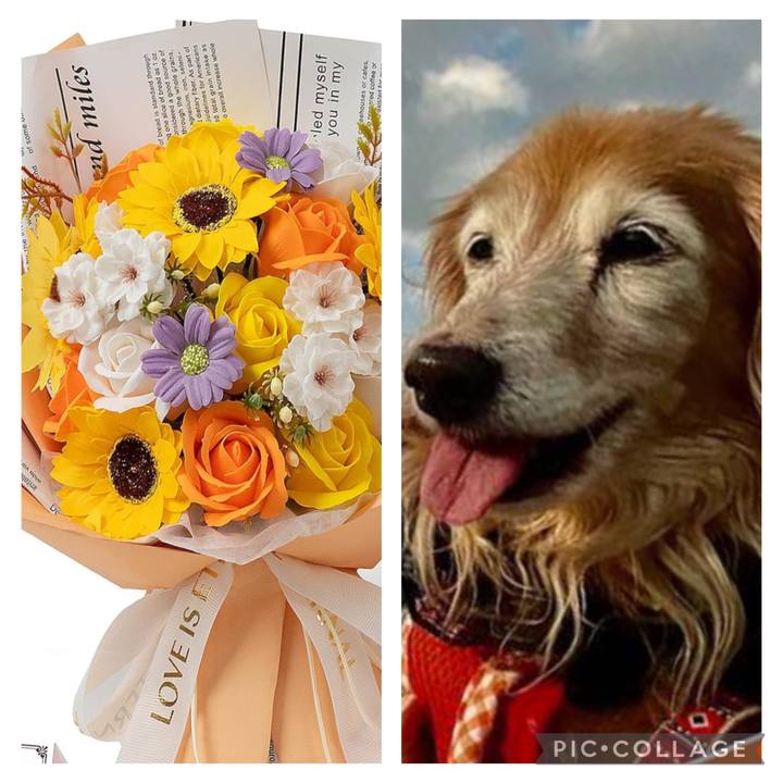 64becb3a f7a9 434c b353 7e38984d9ae5 1764928189412