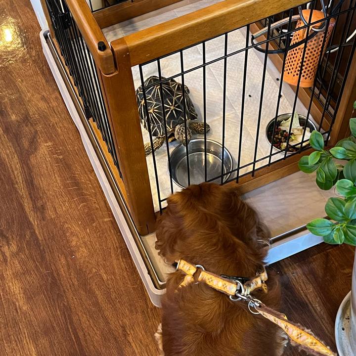 64bf028c b1f0 4d75 8c94 1bedc1276016 1662210510045