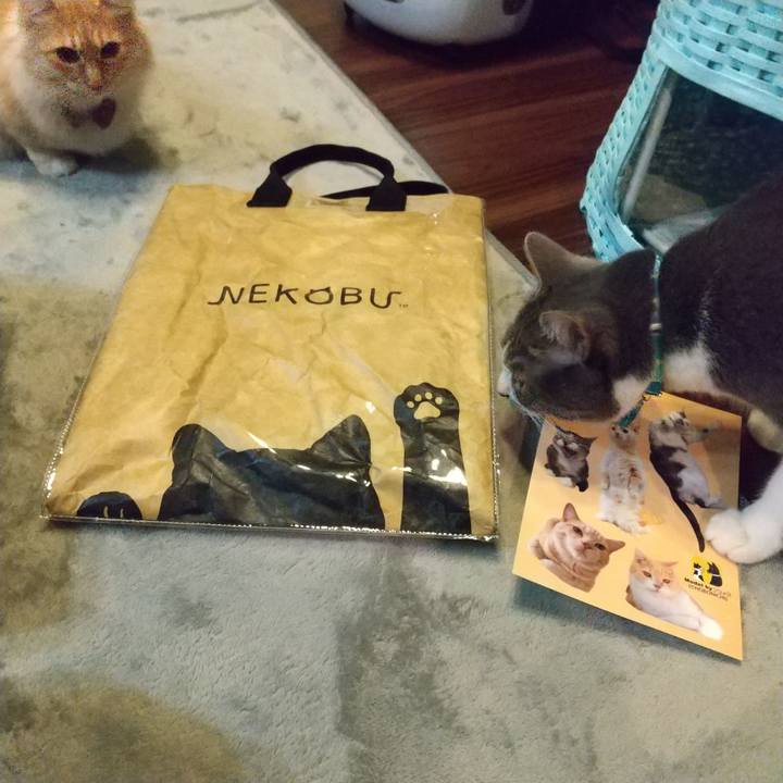 64bf11bc 89d7 4b35 af7e 0ac1811edfed 1645619731669