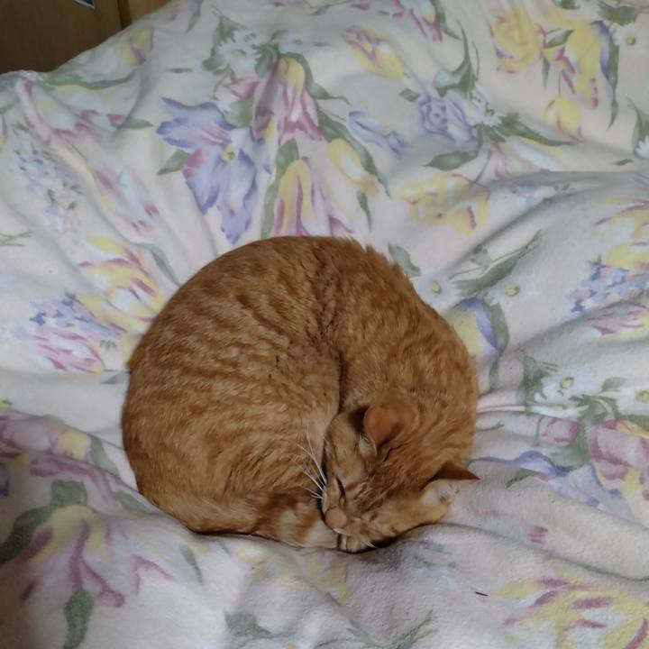 64bf1878 6e3a 4088 a826 5a6e682d0730 1667997078318