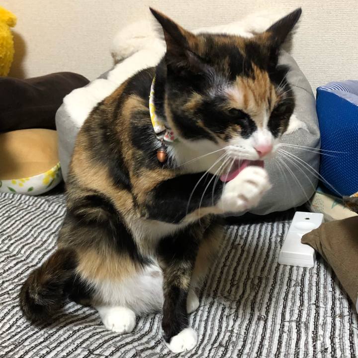 64bf5823 891d 4519 b891 aa40a64a682e 1604162893162