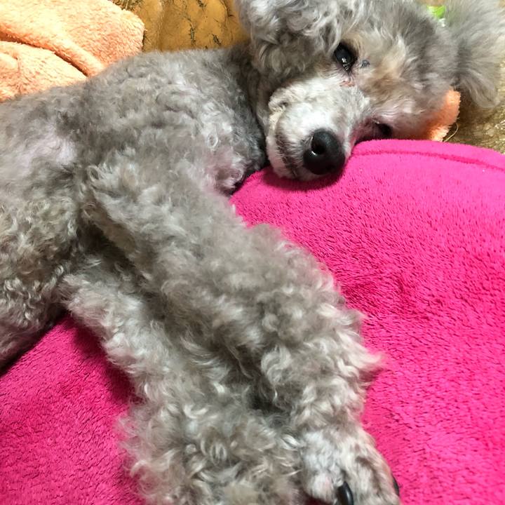 64bf62b9 cc5a 4569 961f b21d9a2b2b0e 1568778122555