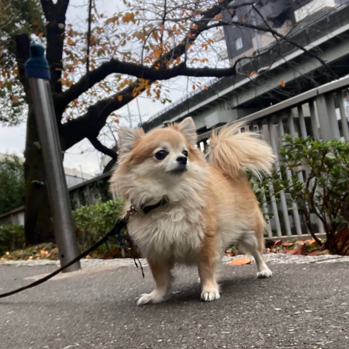 64bf9655 8ce6 4559 b704 47eb7d626daf 1765412916272