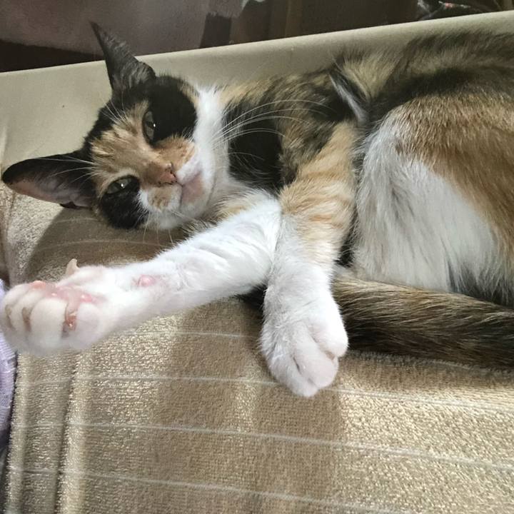 64bf9944 335c 45fa 843e 71312d9124fc 1609808724611