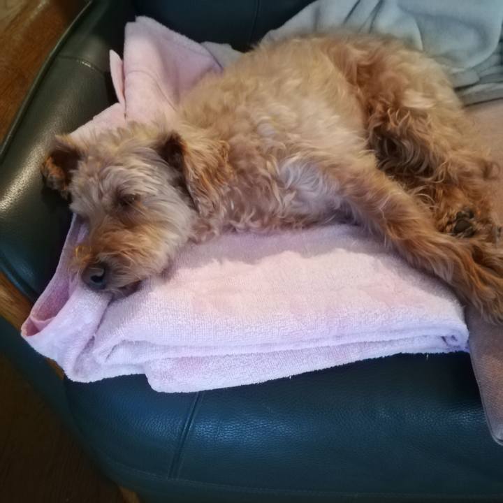 64bfb88c 7c5f 4f21 ae0d 1ecacf8e5189 1570749045129