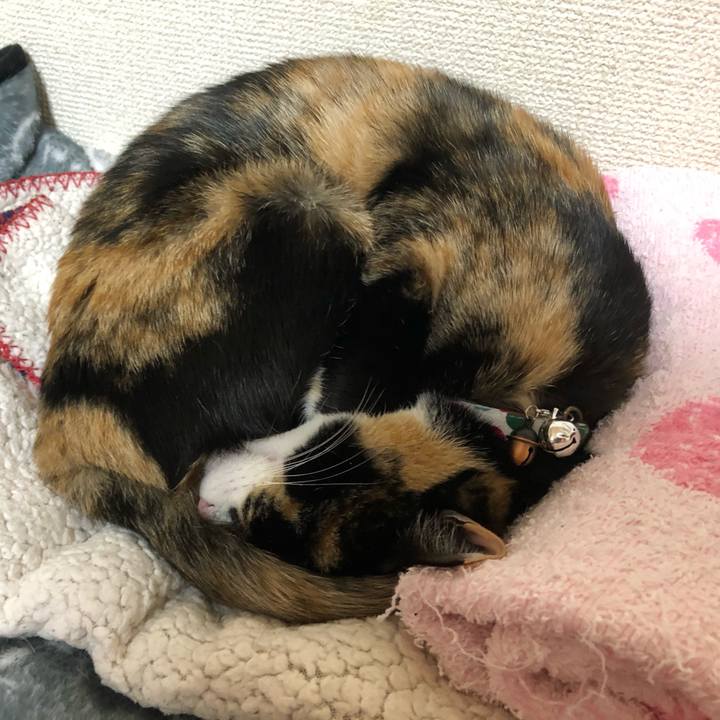 64bfd3d9 5020 4920 be17 d0f8b77bf955 1579006330482