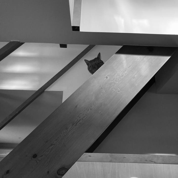 64bfec9f 37e4 4105 bd13 f77aa4469784 1618232408364