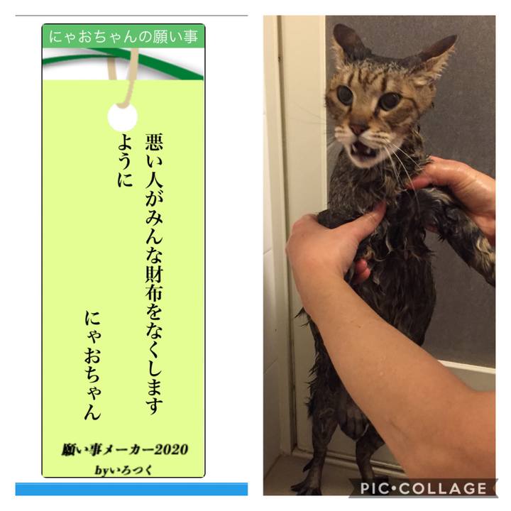 64bff415 d92c 41d9 a46a 0f06a28c0dee 1594102167787