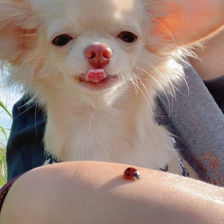 64c03dde b3c1 4e1e a3dd 1ad1ced44cda 1602828923900