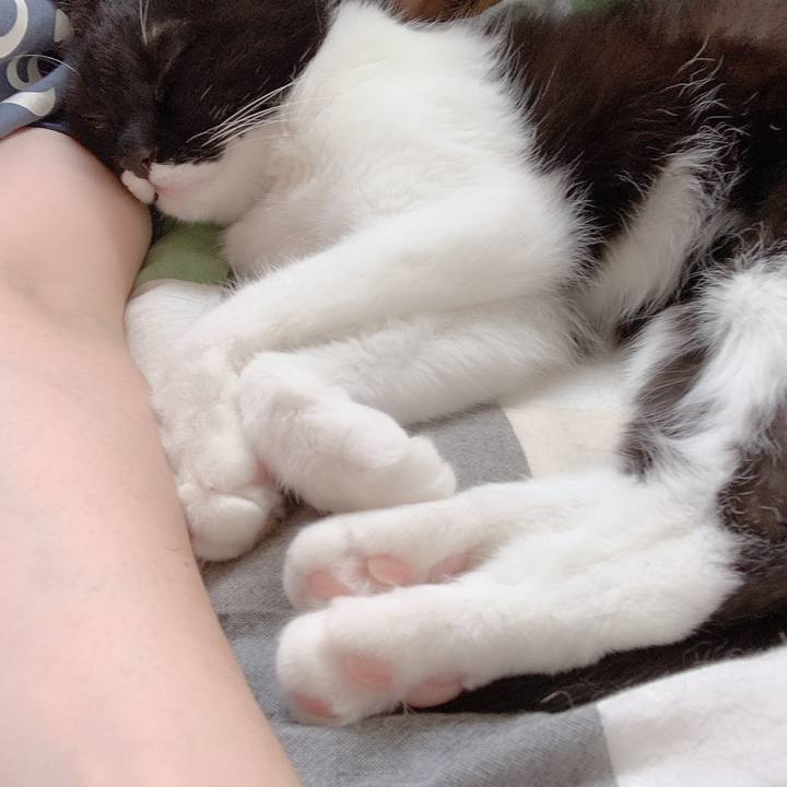 64c0420c 7ec4 4a1b b041 8150b8f8faad 1562062691986