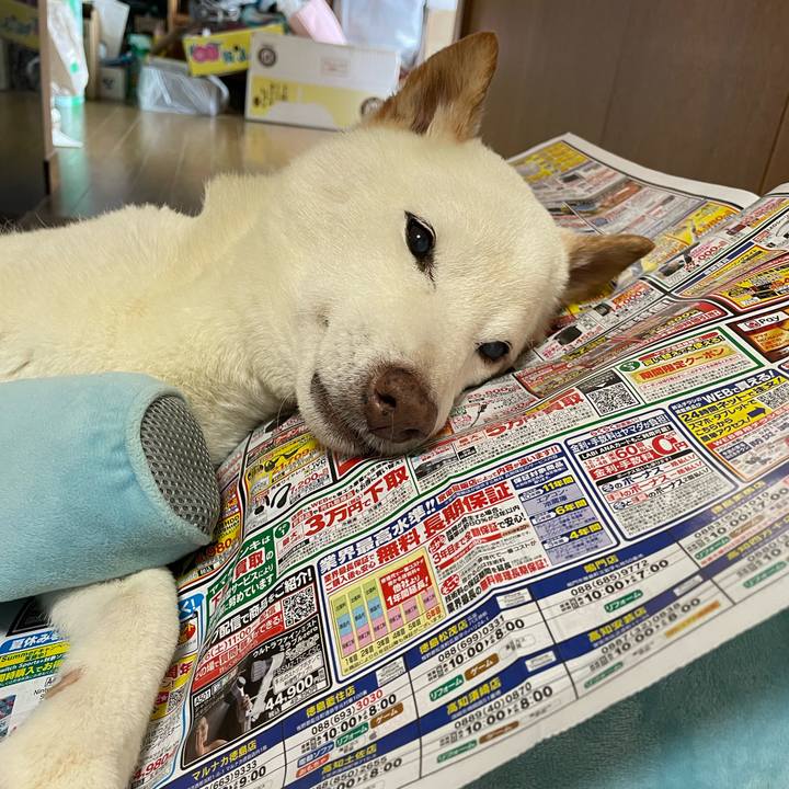 64c0a5bf 1eb8 429d 8f35 8c4dbb9fca79 1659942126846