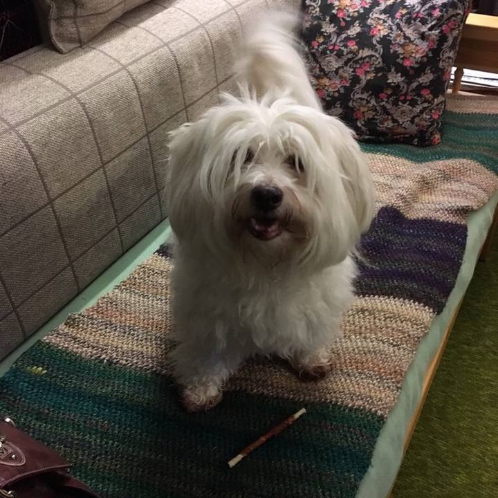 64c0a83f d174 4fb1 8536 dc43b5fbe8be 1517133891590