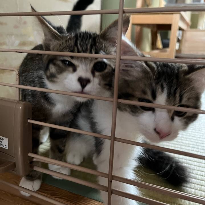 64c0e0df 4187 4c35 8638 636651e6169c 1690504861281