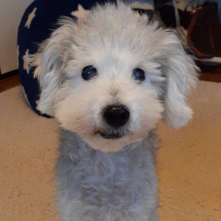 64c0ec26 3563 476d b74d a2d71a57a628 1637022240480