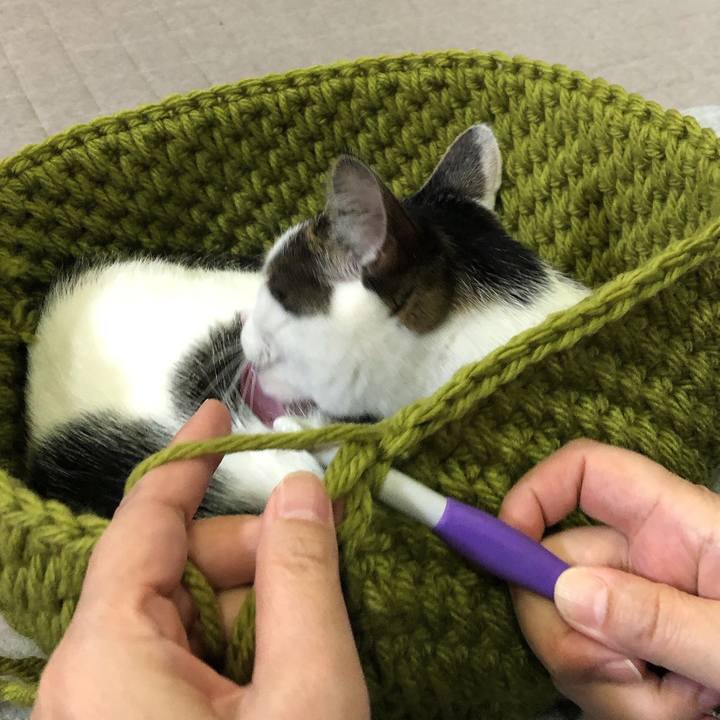 64c12d0b 50b9 406a 87a3 e6a20a7798eb 1636463280342