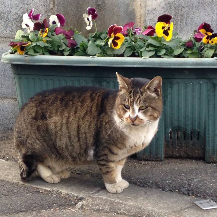 64c144eb a402 4ec6 b8e1 4c6a5f156931 1514181425313