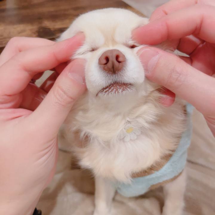 64c17fb1 d146 4ff1 8bc7 7047d9370114 1767174075262