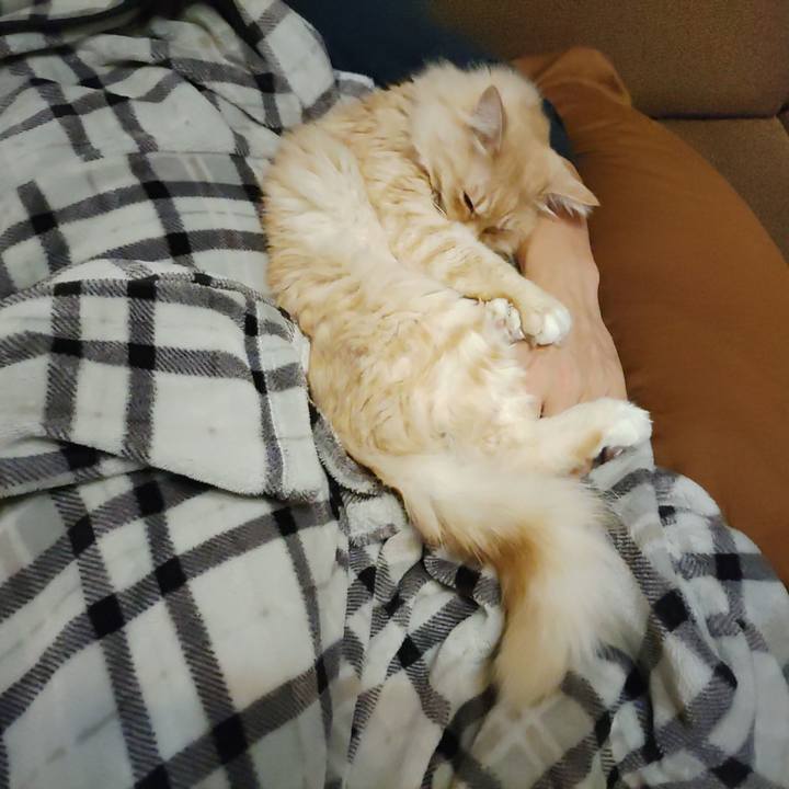 64c1a87a ee47 4d66 836d 084e38e2e5dd 1701875509698