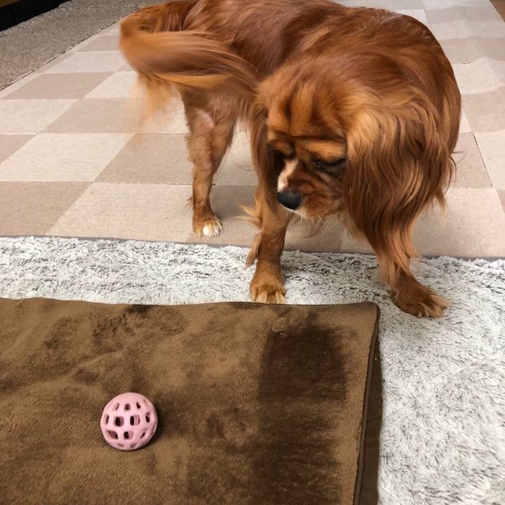 64c1dffc 6476 4ddf 8ba6 824251228f43 1558476758282