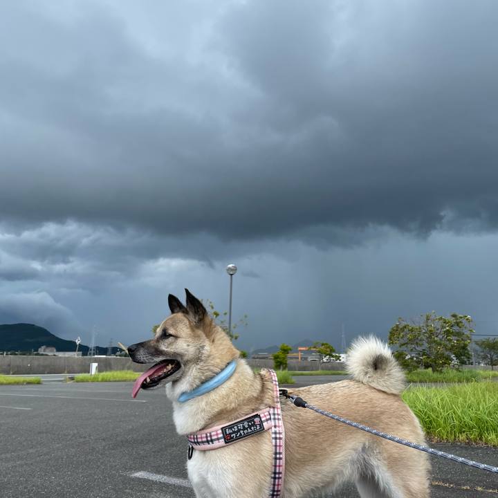 64c20dd7 e58b 4bef 8266 fabe6aa28fa1 1724588844840