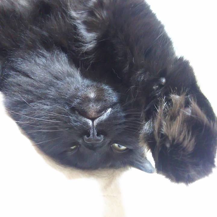 64c20fad 349d 4f33 8dd6 8e9d07203aef 1541635930685