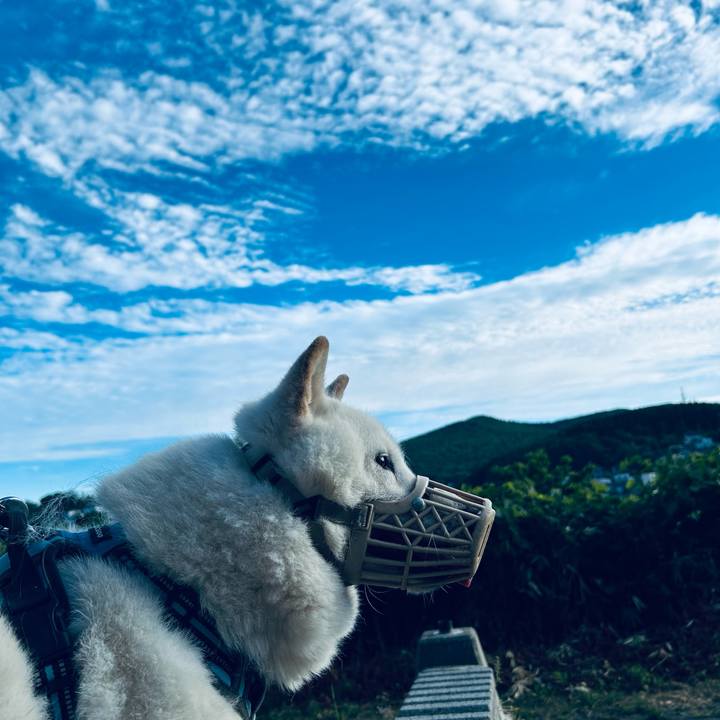 64c2282a 370b 4057 b04f 57e8b873ae2d 1752009281423