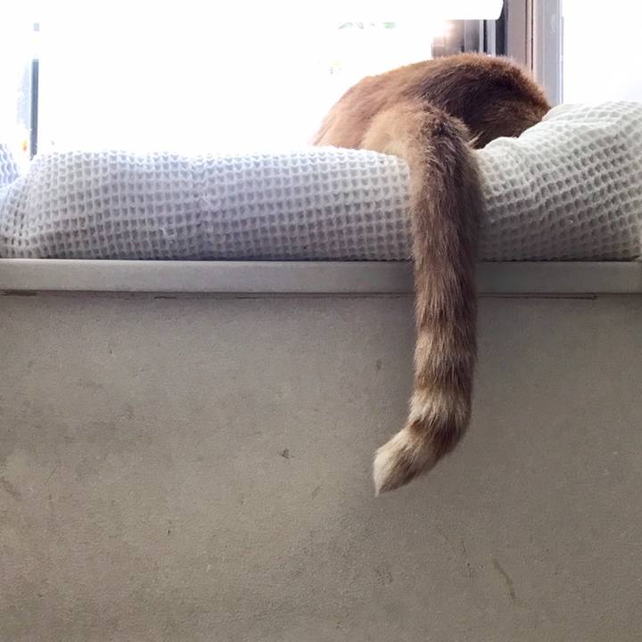 64c22834 978b 4cb2 b77a 2d397abe4b2a 1558490756536