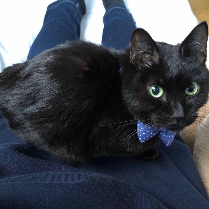 64c22d1e cd55 4729 9821 1fb0ef3bc2a5 1614992797558