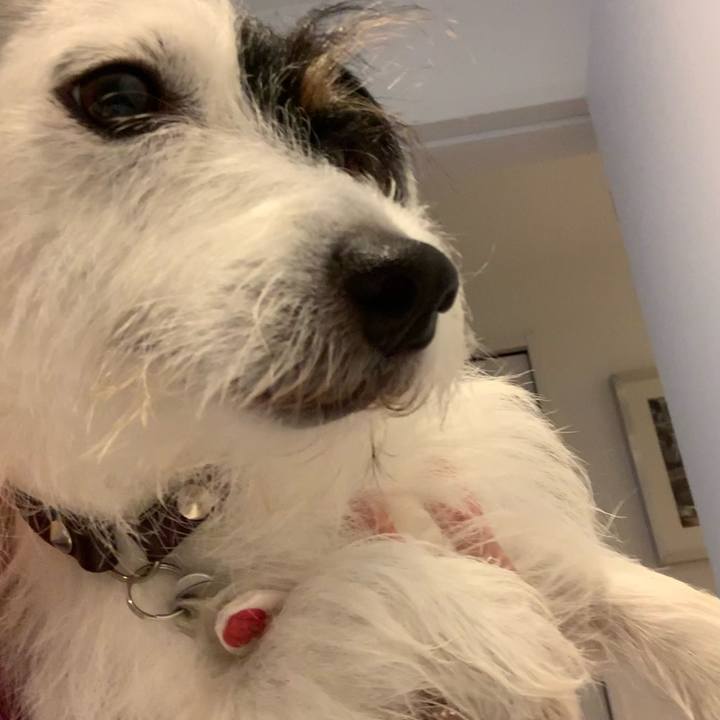 64c24641 004a 495a b705 5361a2baf915 1630052951578