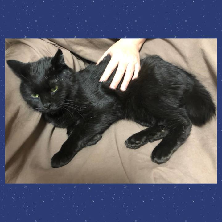 64c2480b 7dab 4e62 908a dcc407e6d228 1606473631487