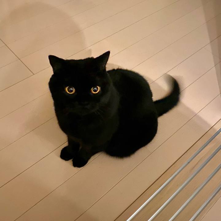 64c253d7 06a0 4658 b12a 6f1eec2dc53b 1727959781575