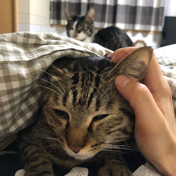 64c2a0fe 6aeb 4781 80b7 041b4ed02f70 1580240162338