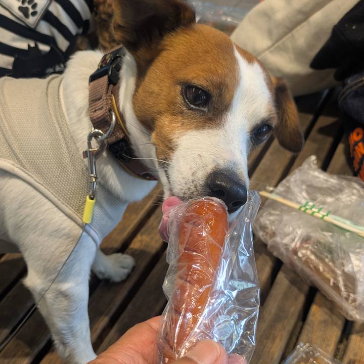 64c2b0b0 e336 4a5c b489 d37102f6bdb0 1760405686470