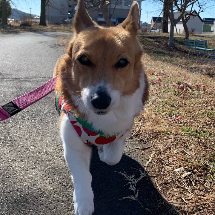 64c2bdf3 a1f9 4d06 ae0d 71b0c9f09da8 1706505569547