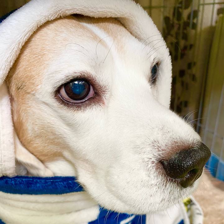 64c2c053 9b72 4edc 8ddf 5ae7f0422d73 1610079150661