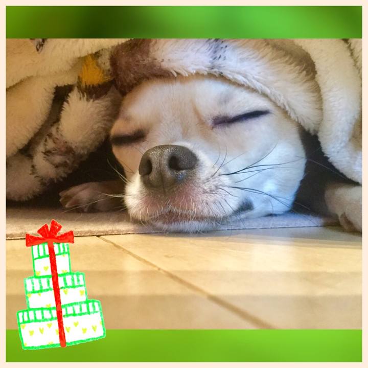 64c2c62c e605 41a1 a964 157ad8088748 1514098252817