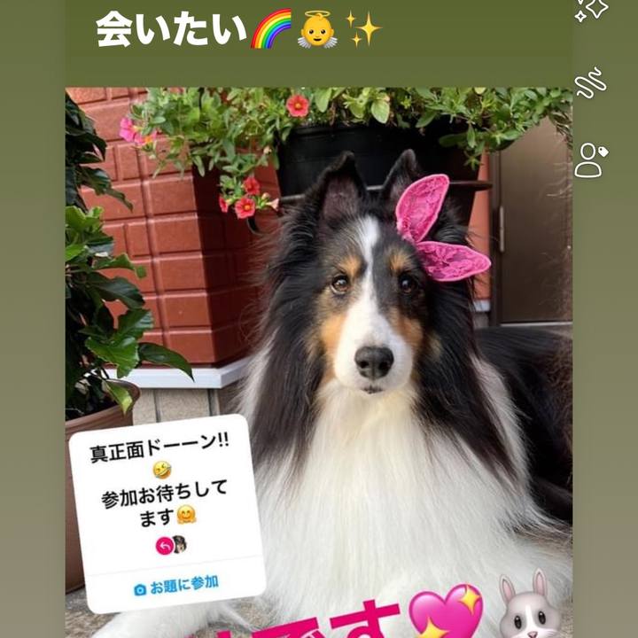 64c3469b c46b 48b2 b315 eac446377ffd 1723090187663