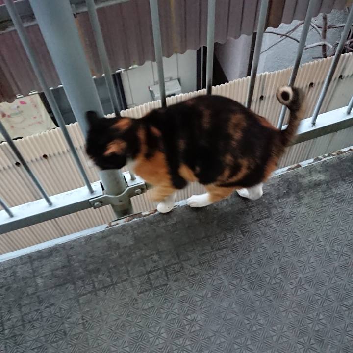 64c35187 1e60 41d7 8926 2255745bd5bc 1548199443341