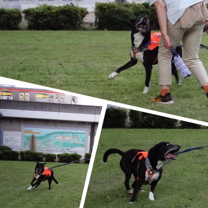 64c35796 e84f 4afa b171 ca9d2c8ed8fd 1751973134935