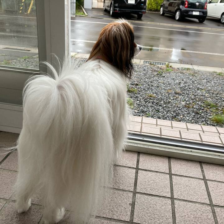 64c378c9 42b6 4813 8880 281601656fa9 1631924968495