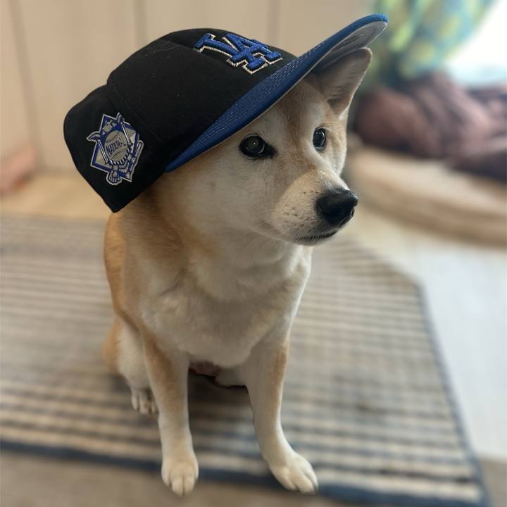 64c39741 d199 47c6 84a8 7efec183d944 1702697300725